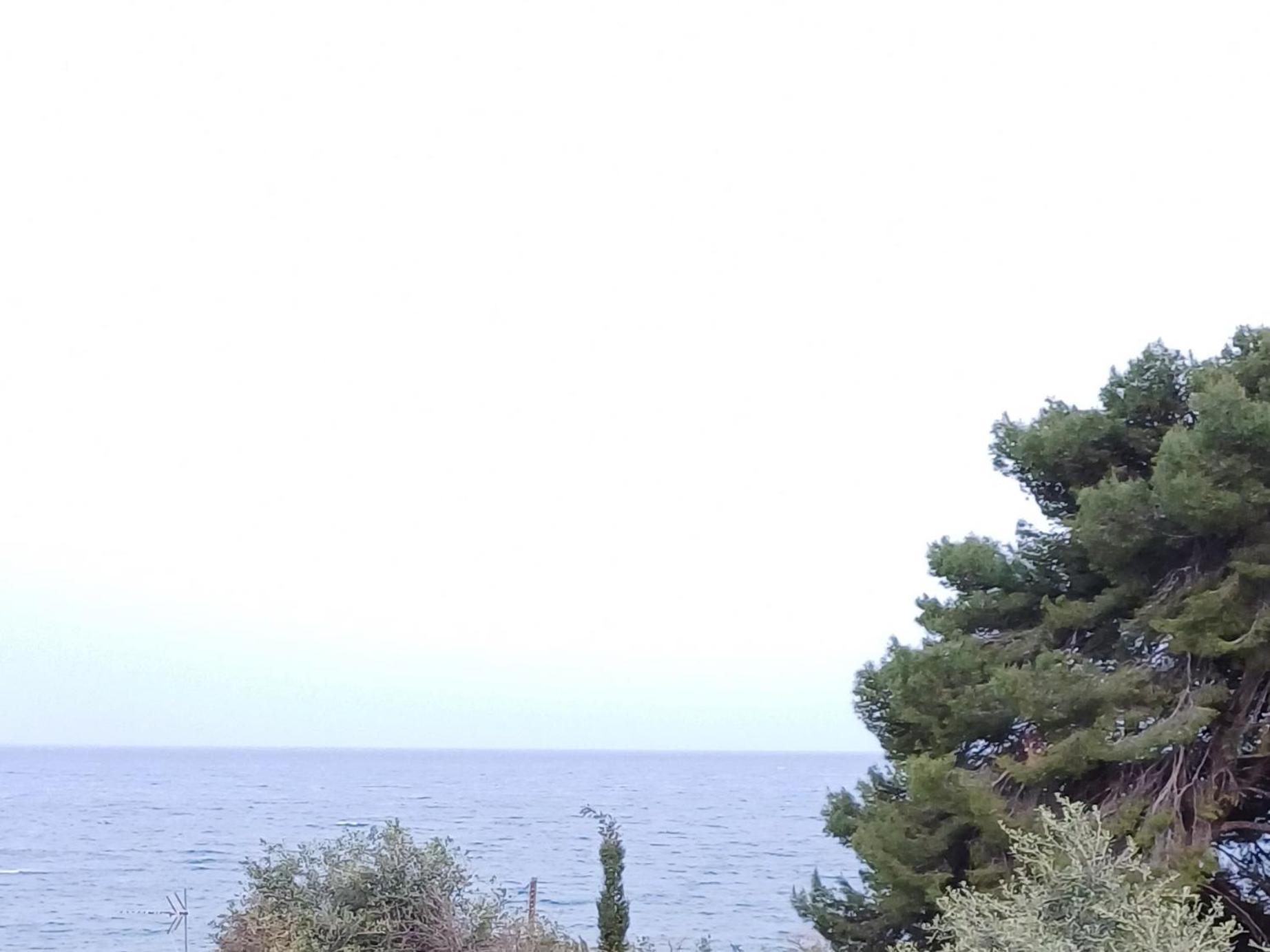 Flora Studios Corfu - Adults Only Benitses  Oda fotoğraf