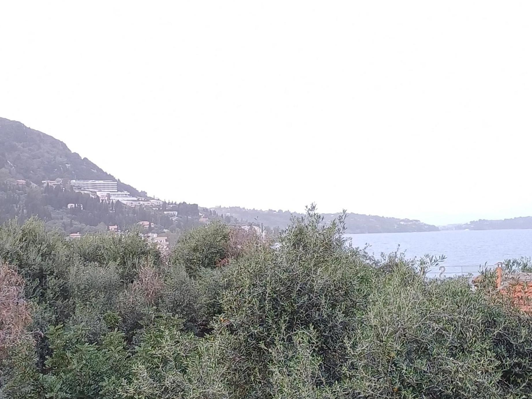 Flora Studios Corfu - Adults Only Benitses  Oda fotoğraf